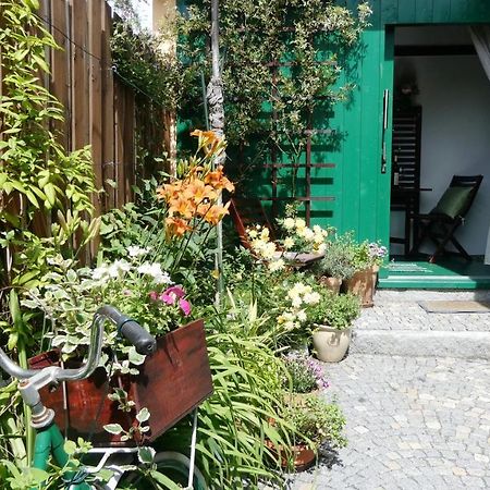 Apartmán Horšovský Týn Exteriér fotografie